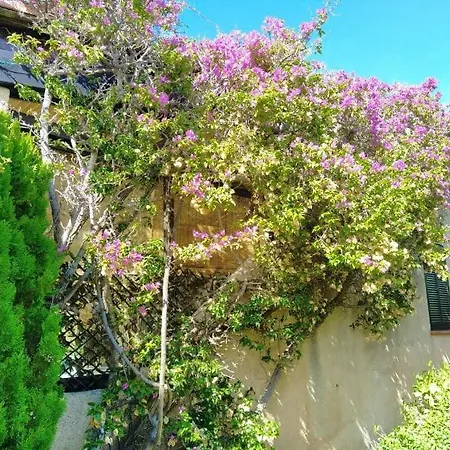 度假居 Beachfront Villa, 3 Beds Walking Distance To Beaches With Superb Views *