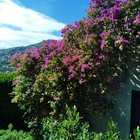 Beachfront Villa, 3 Beds Walking Distance To Beaches With Superb Views Hébergement de vacances *